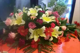 爱是应该放纵还是应该克制？图片