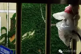 城市也有好玩法？长线天线显神威！图片