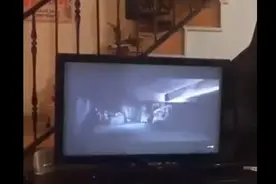 主人找狗狗陪他一起看鬼片，结果鬼突然出现时狗狗反应让主人喷笑图片