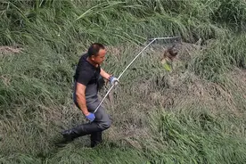 猫咪掉落胶州云溪河 市民揪心救援队长亲下河图片