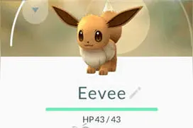 pokemongo伊布怎么获得？ pokemongo伊布怎么进化？图片