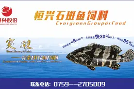 今年早市斑点叉尾鮰行情大好，后市能否一路坚挺？图片