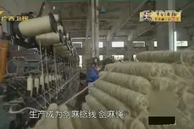 麻绳制作过程全曝光，原来我们用的绳子是这样做出来的啊视频封面