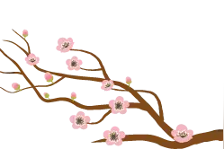 掠影 | 永暑礁驻守官兵：南沙有我们，祖国请放心图片