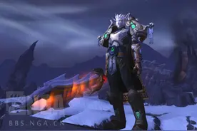 血精灵板甲幻化：白雪白盔甲白发 苍白的骑士图片