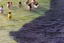 渔民发现黑色怪物游过来 下幕惊呆众人图片