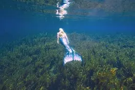 现实版美人鱼！女子可水下闭气长达5分钟图片