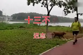 迟志强一首《十三不亲》亲情，友情，爱情！视频封面