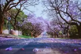 我们是一家人图片