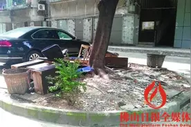 锦绣花园鼠患为何成灾？图片