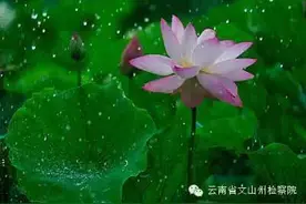 缤纷悦读当时光已逝图片