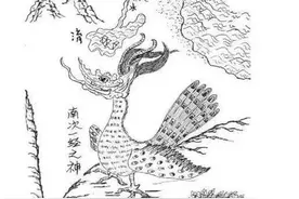 佛祖，还记得当年昆仑山下的孔雀兄么？图片