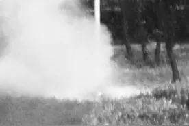 公园高压线垂落火花四溅 供电部门接报后迅速出动图片