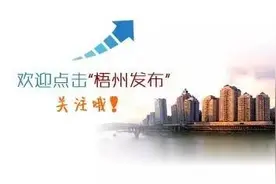 今年梧州继续实施普通高中多项学生资助政策，符合条件开学后可提出申请图片