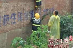 林州市最大降雨量逾五百毫米图片