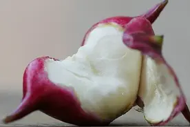 菱角的功效与作用及食用方法图片