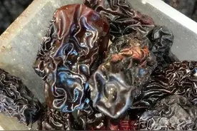 吃黑枣治疗贫血和肝炎图片