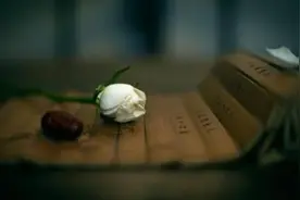 《心经》观世音菩萨的般若智慧——四(下）五蕴图片