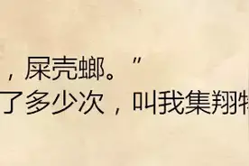 小小屎壳郎散发大光芒 “说了多少次! 叫我集翔物!”图片