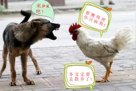 能让小朋友开发思维的渡河问题，看看你能不能解答出来！图片