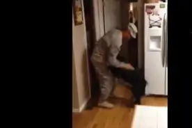 没有任何动物能有 狗狗看到你回家这样激动和开心的的样子。图片