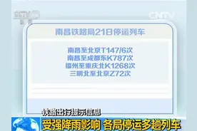 防汛抗洪第一线：受强降雨影响 各铁路局停运多趟列车图片