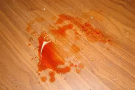 狗狗小便带血是怎么回事？只有找到原因才能够帮助狗狗恢复健康图片