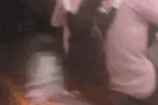 跟主人一起坐摩托车兜风的喵星人，不要太拉风噢图片