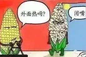 别问了！夏天正确使用行车记录仪的技巧图片