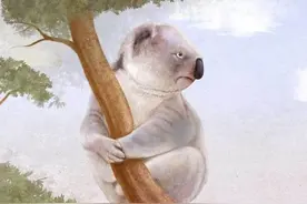 原创童话《小考拉和老桉树》，一个关于生命和自然的故事图片