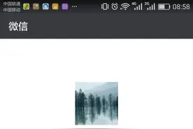 一个月养成优质微信号-微信的初生阶段图片