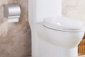 堵塞、反味、发黄......21号店关于马桶三大问题解决之道图片