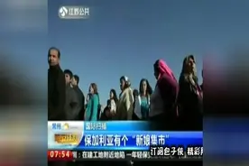 新娘集市 明码标价 爱情买卖  也是醉了视频封面
