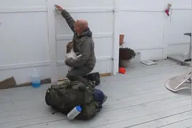 两只狗狗听到男主回来的声音，高兴的去门口等待男主进门！图片