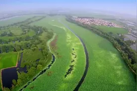沈阳新民市第十五届荷花节开幕啦，没去现场的进来感受下！图片