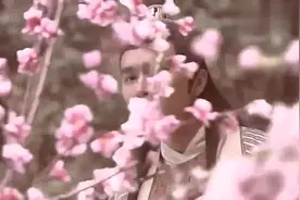 宠妃舞蹈忖量心上人，没想到皇下去了！视频封面