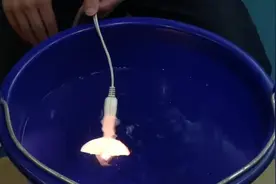 实验出真理！插座在水里会不会触电？视频封面