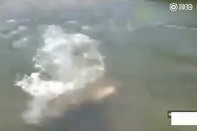 小伙在水库私自下水游泳，结果整个人被吸进排水管视频封面