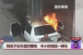熊孩子往车里扔鞭炮，半小时烧毁一辆车视频封面