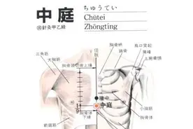 按摩中庭穴位的作用图片