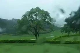 超强台风来袭、录取通知书、美国枪杀黑人案本周新闻热词总结（7.3-7.9）图片