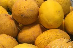 吃香瓜能润肠通便又利尿图片