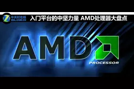 入门平台的中坚力量 AMD处理器大盘点图片