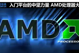 入门平台的中坚力量 AMD处理器大盘点图片