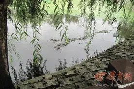 倆男童戏耍坠入池塘 一个去救另一个时同溺亡图片