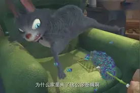 熊出没：强哥家的苍蝇多如牛毛，还能变换各种队形！视频封面