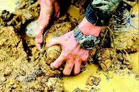 你的累与痛我感同身受图片