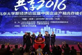 重庆狼卜荣获北大新经济论坛最佳实效营销奖图片