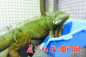 多看你一眼 可消解我的孤单图片