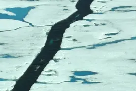 世上真的有独角兽吗？探秘海底新世界，揭秘独角兽的存在视频封面